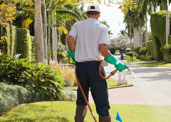About Cornish ME Pest Control Pros